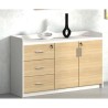 Tủ tài liệu SM6050