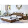 Giường ngủ hiện đại GN004
