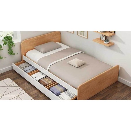 Giường ngủ hiện đại GN005