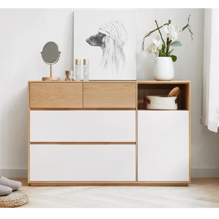 Tủ ngăn kéo đựng đồ gia đình KN113