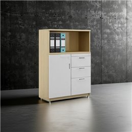 Tủ tài thấp liệu SM1225D