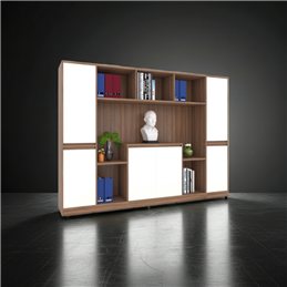 Tủ tài liệu cao TG08