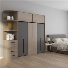 Tủ quần áo DH201